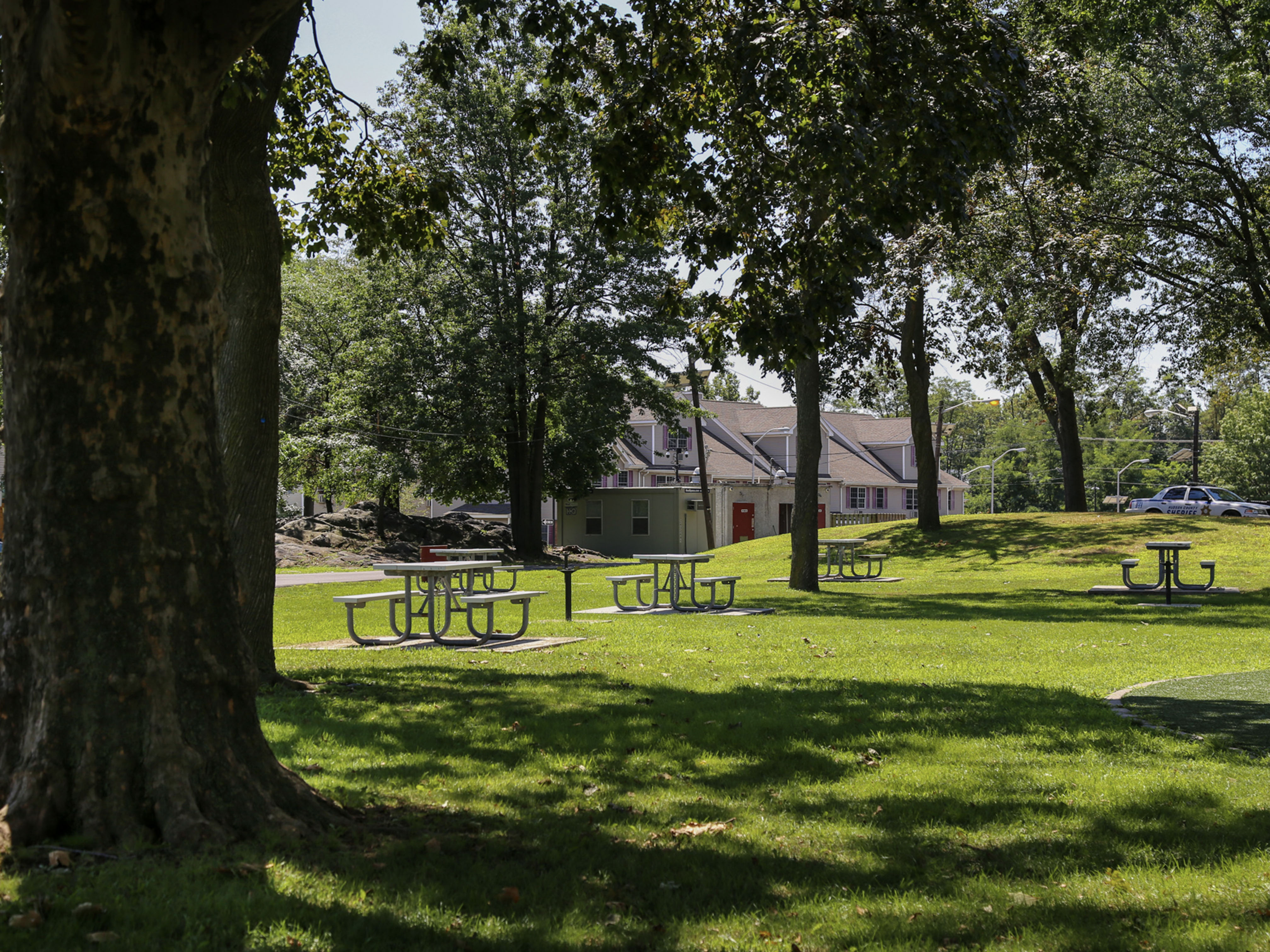 Mercer Park